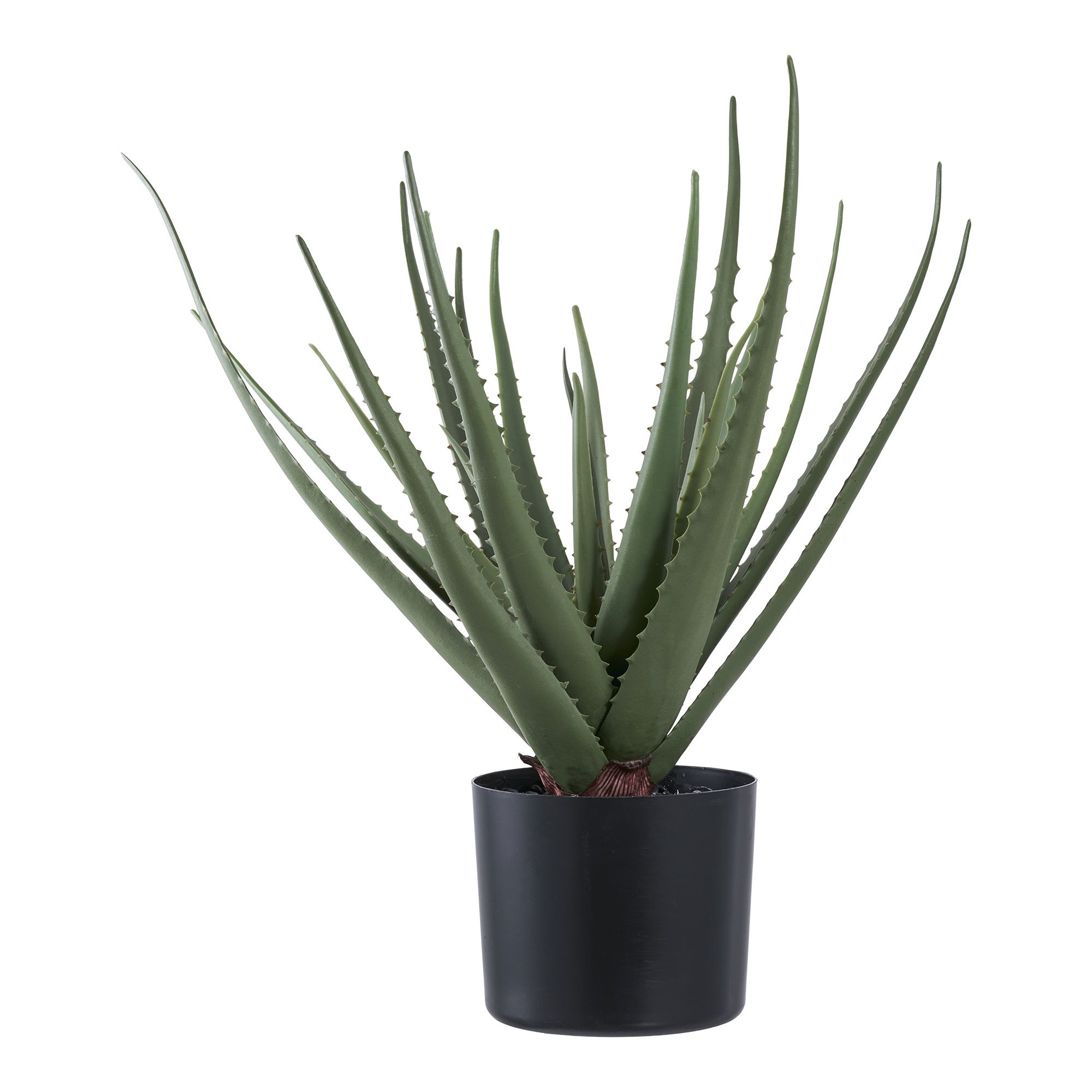 House Nordic Aloe Vera Kunstig Plante  Grøn  :51