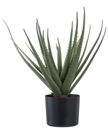 House Nordic Aloe Vera Kunstig Plante Grøn Pe Plastik   :51cm