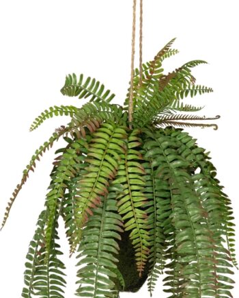 Kunstig Plante Woood Fern H58 Cm ø30 Cm   Naturtro Dekorativ Hængende Boligtilbehør   Plast   Jern  Grøn