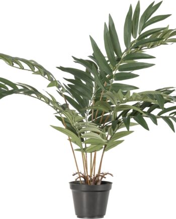 Kunstig Plante Woood Kwai H68   B50   D51 Cm Naturtro Grøn Indendørs Boligindretning