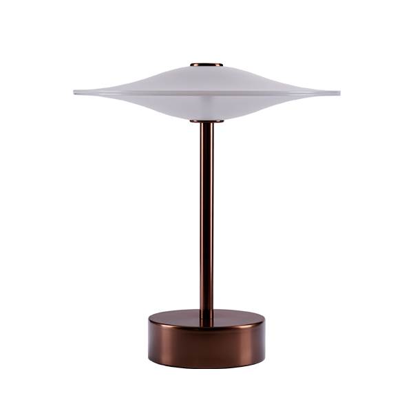 Piet Hein Sinus Portable Lampe Bronze  : Erling Christensen Møbler