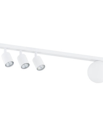 Baster   White