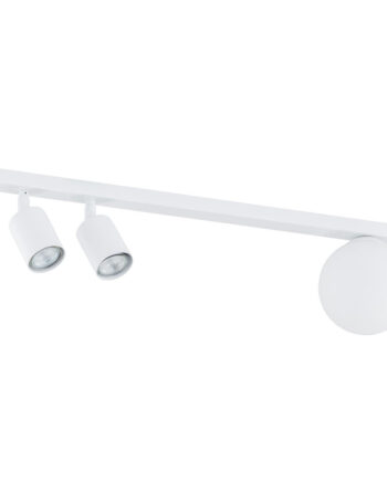 Baster   White