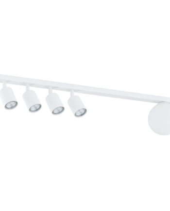 Baster   White