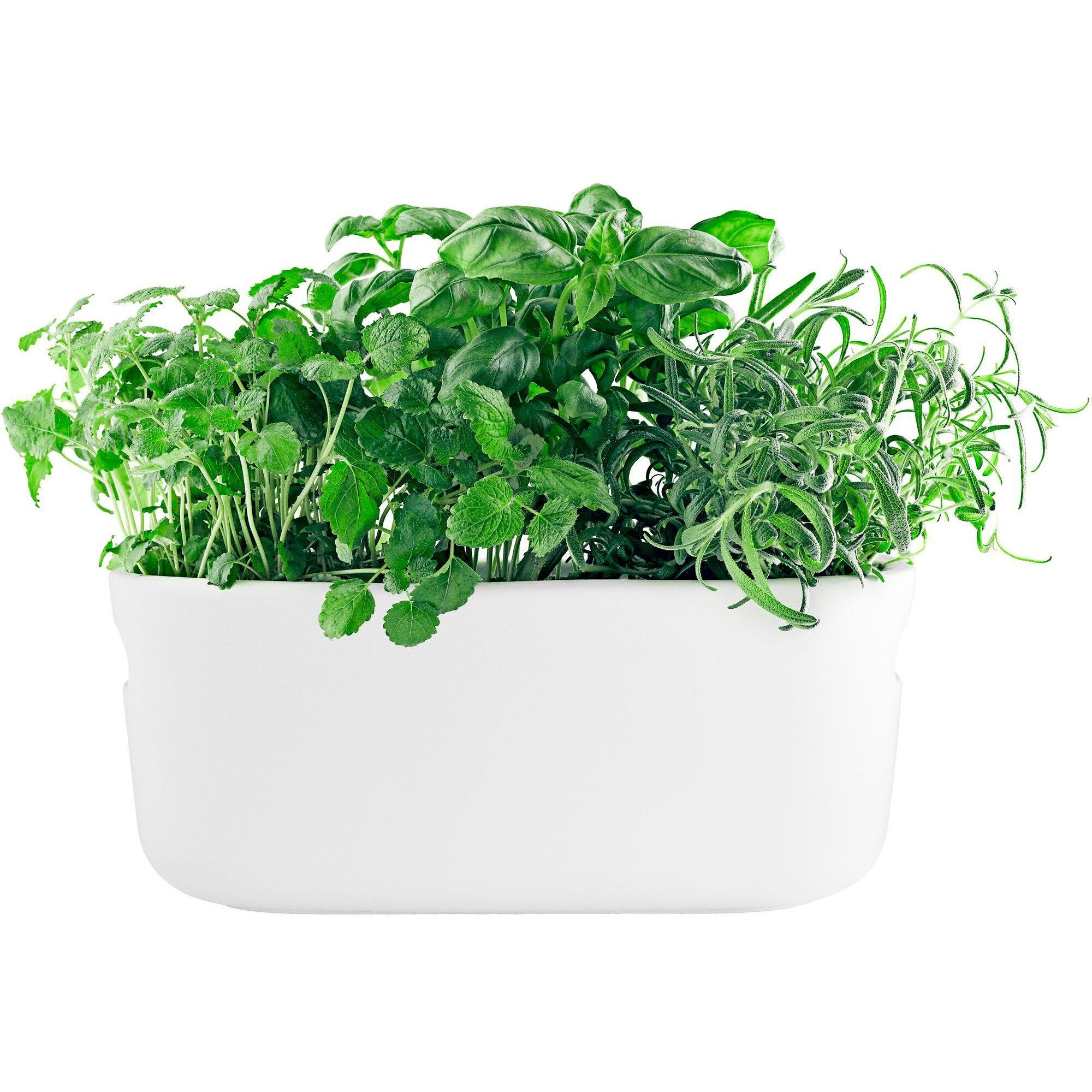 Eva Solo Selvvandende Herb Organiser Hvid