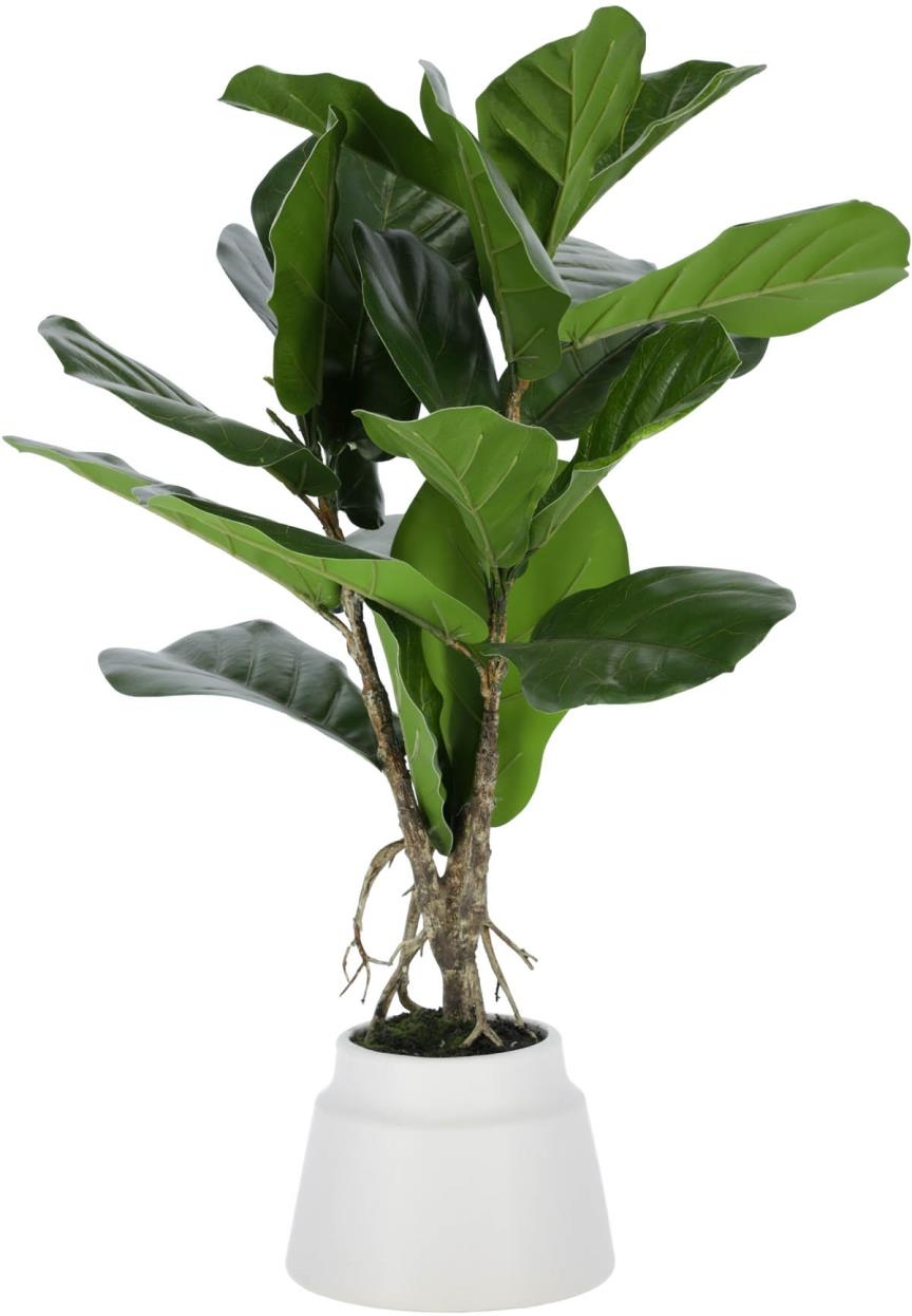 Kunstig Dekorationsplante Kave Home Lyrata H60ã ø30 Cm Vedligeholdelsesfri Moderne Design