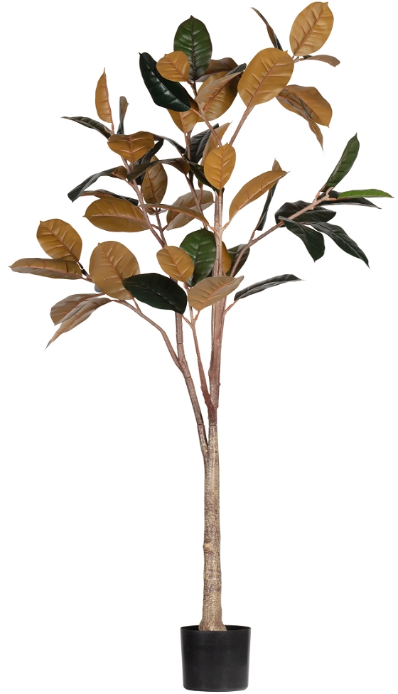 Kunstig Grøn Plante Woood Rubber   Naturtro Dekorationsplante H170xb63xl106 Cm  Vedligeholdelsesfri