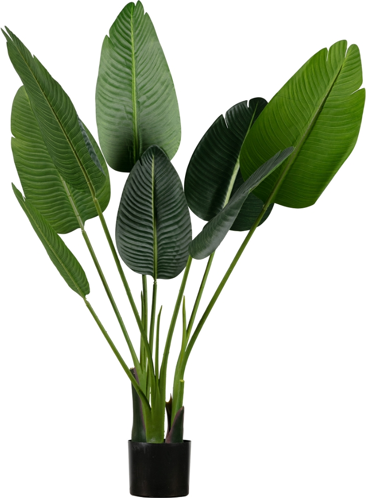 Kunstig Strelitzia-plante Woood   Justerbar Dekorationsplante 108ã 61ã 50 Cm