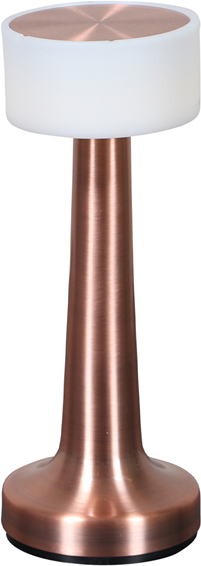 Led Udendørslampe House Of Sander Kaya Bronzefarvet Stål H21 B8 Cm