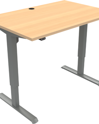 To-bens Hæve- Sænkebord Zennord Adaptdesk Justerbar Højde 68-118 Cm Natur Sølv