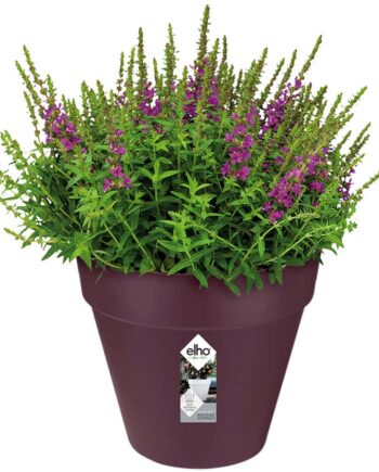 Urtepotte Mulberry Mat 25x22cm   5l