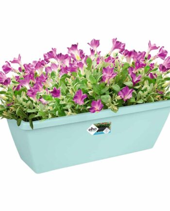 Window Box Barcelona Mint 40x16x19cm