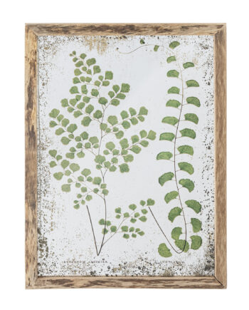 Creative Collection Tipper Illustration    Grønne Blade     Ramme Natur Fyrretræ  46x34