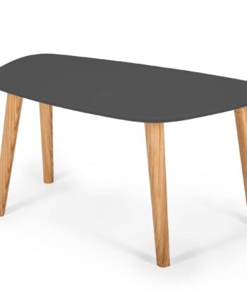 Endocarp Sofabord 80x48x40cm Grafit Asketræ