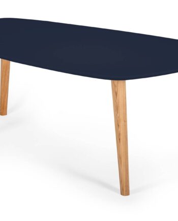 Endocarp Sofabord 110x66x45cm Marineblå   Asketræ