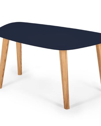 Endocarp Sofabord 80x48x40cm Marineblå Asketræ