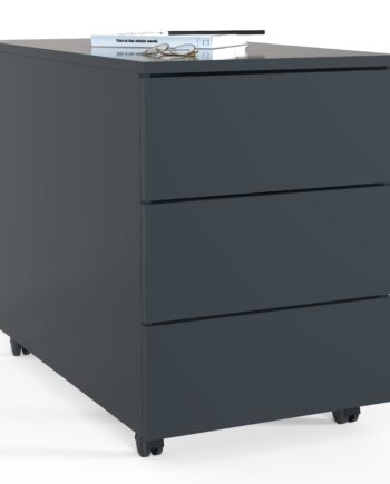 Kontorskab Arkivskab     55      39      45 70 Cm  Antracit