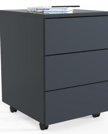 Kontorskab Arkivskab     55      39      45 70 Cm  Antracit Grå
