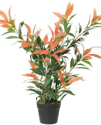 Kunstig Photinia 90 Cm Kunstig Plante Med 300 Blade  Justerbare Grene  45   45   90 Cm  Rød Grøn