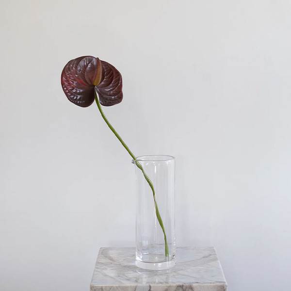 Specktrum Artificial Flowers Anthurium Burgundy  : Erling Christensen Møbler