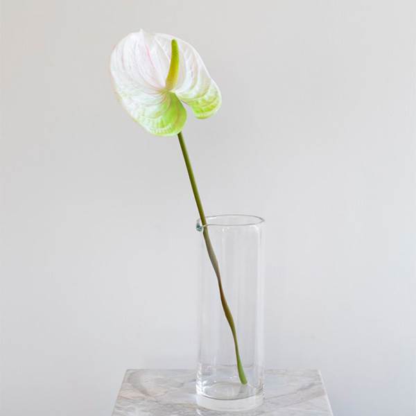 Specktrum Artificial Flowers Anthurium White  : Erling Christensen Møbler