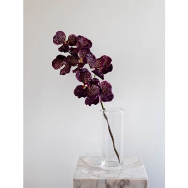 Specktrum Artificial Flowers Orchid    Heads  Burgundy  : Erling Christensen Møbler