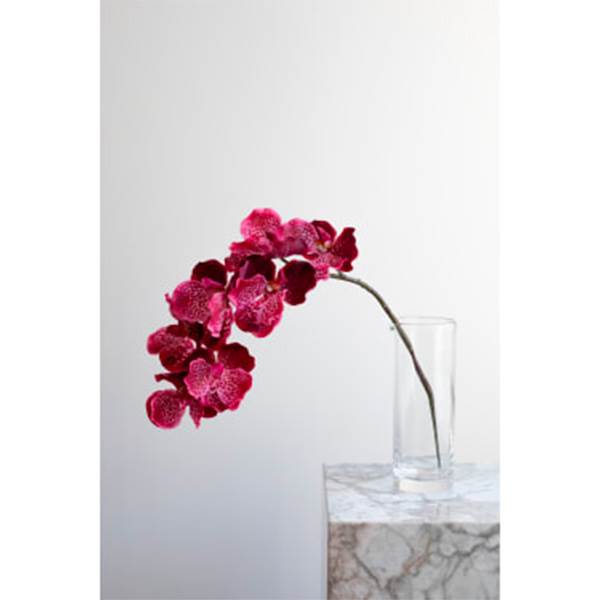 Specktrum Artificial Flowers Orchid Heads Plum : Erling Christensen Møbler