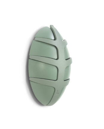 Spinder Design Bug Knagerække       Kroge Støvet Grøn Plastik