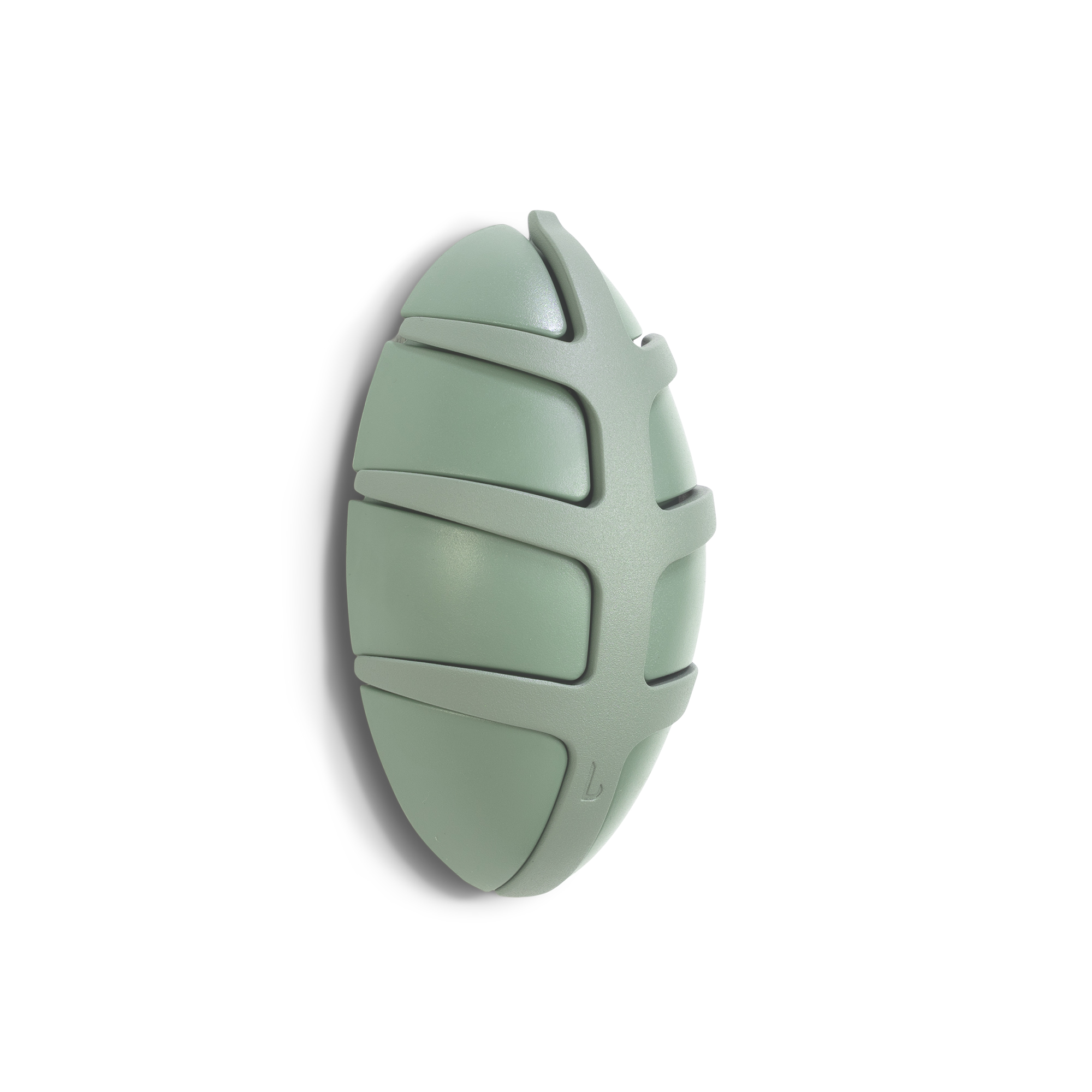 Spinder Design Bug Knagerække       Kroge Støvet Grøn Plastik