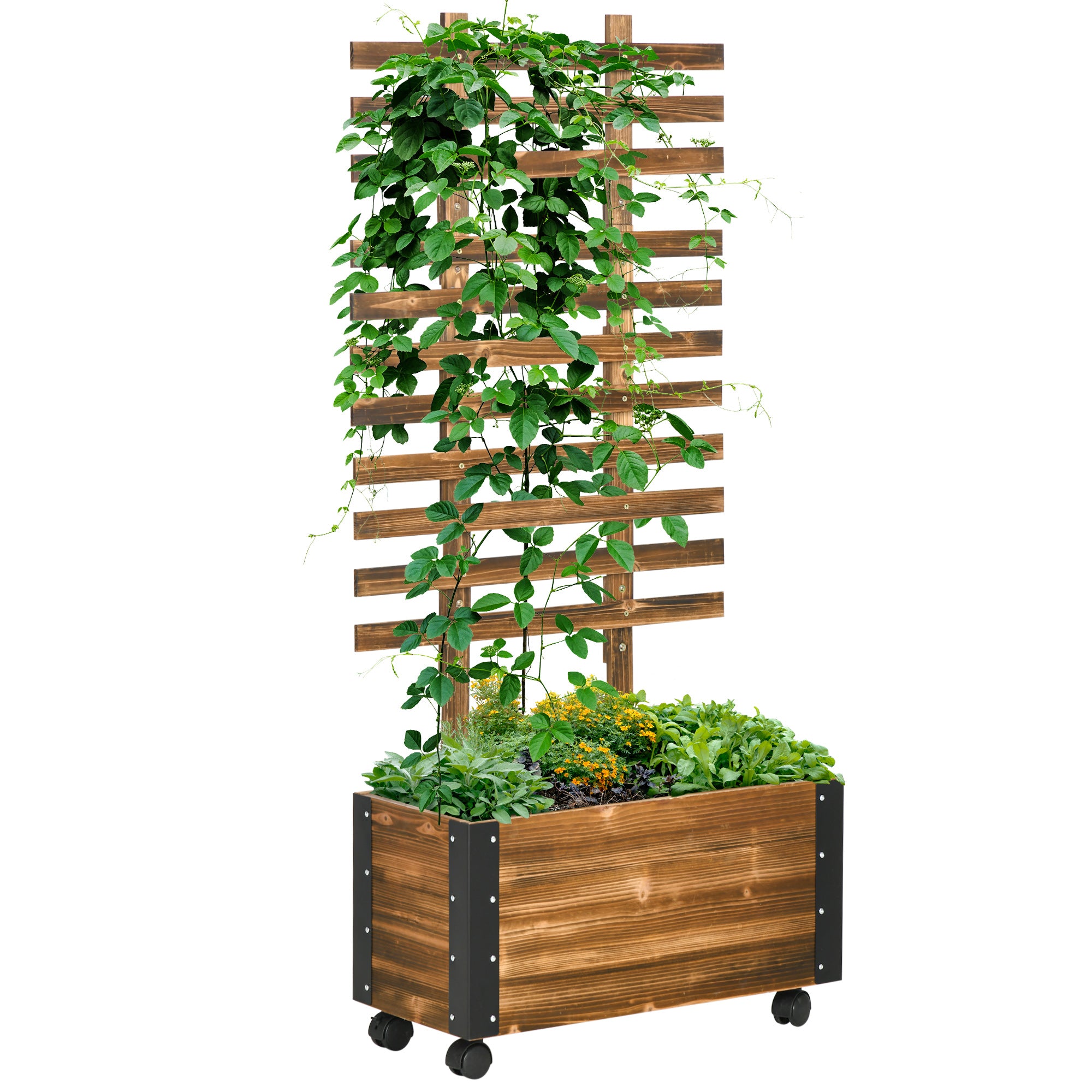Højbed Med Espalier    Hjul  Behandlet Massivt Træ  65 Cm   31 Cm   147 Cm  Sort   Brun