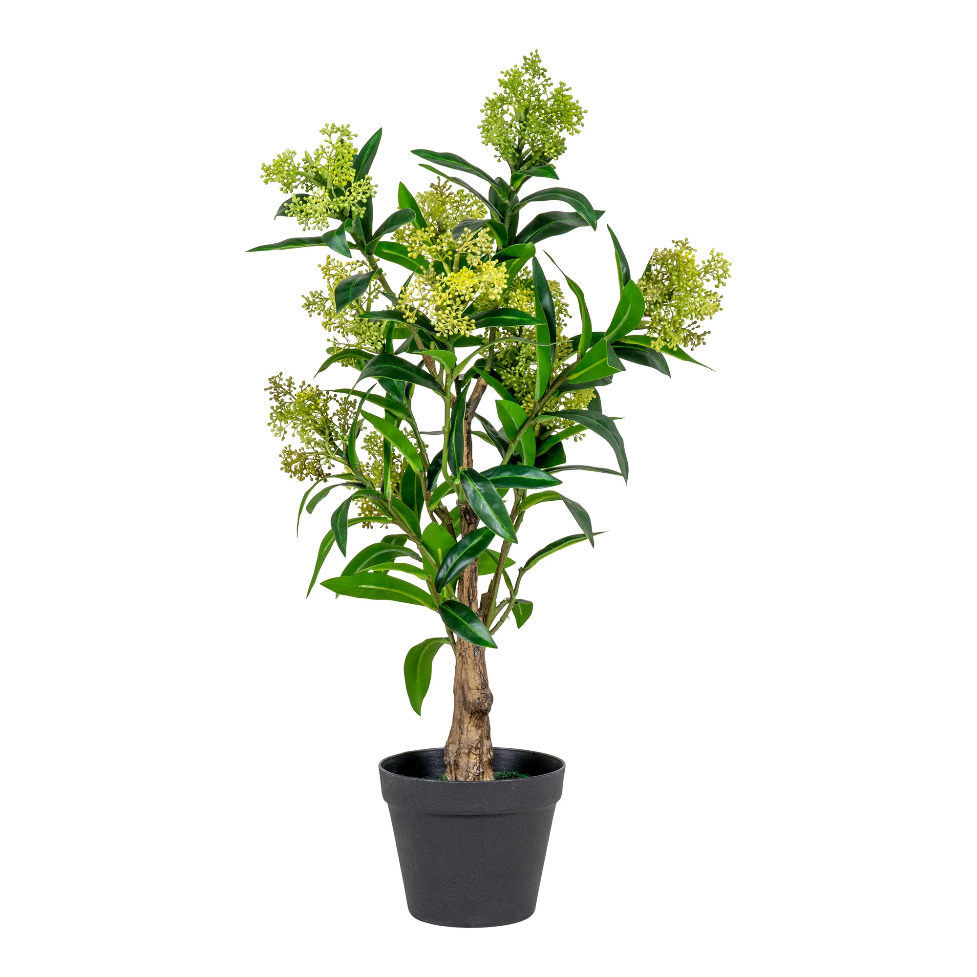 House Nordic Kunstig Skimmia Træ Plante Grøn Plastik   :75