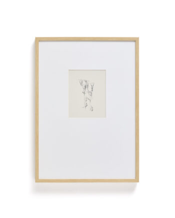 Kave Home Lirena Billede  Rektangulær Botanisk Illustration Og Ramme  70x50