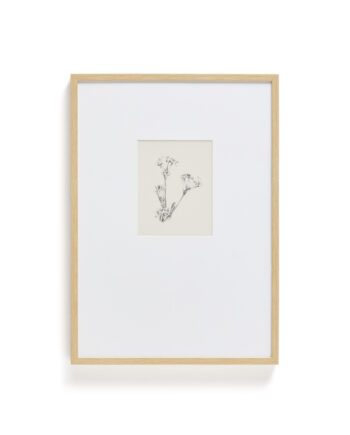 Kave Home Lirena Billede  Rektangulær Botanisk Illustration Og Ramme  70x50