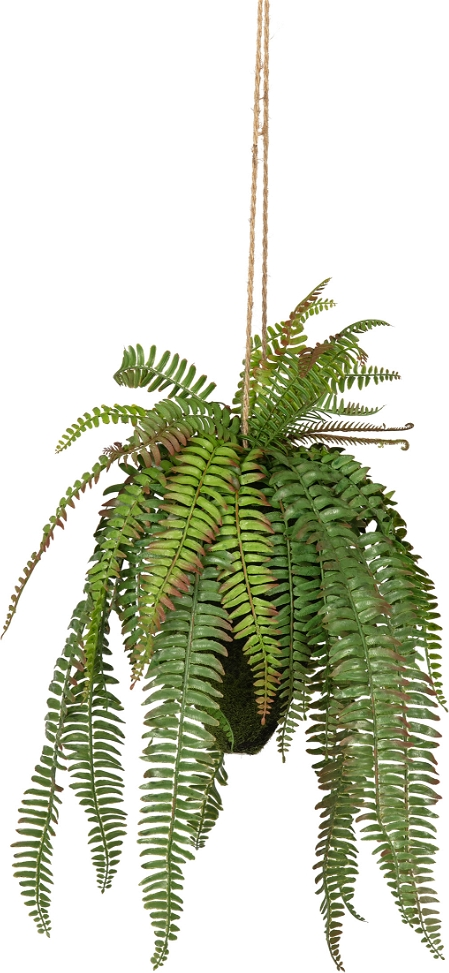 Kunstig Plante Woood Fern H58 Cm ø30 Cm   Naturtro Dekorativ Hængende Boligtilbehør   Plast   Jern  Grøn