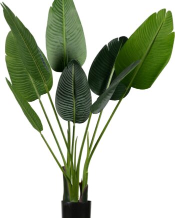 Kunstig Strelitzia-plante Woood   Justerbar Dekorationsplante 108ã 61ã 50 Cm