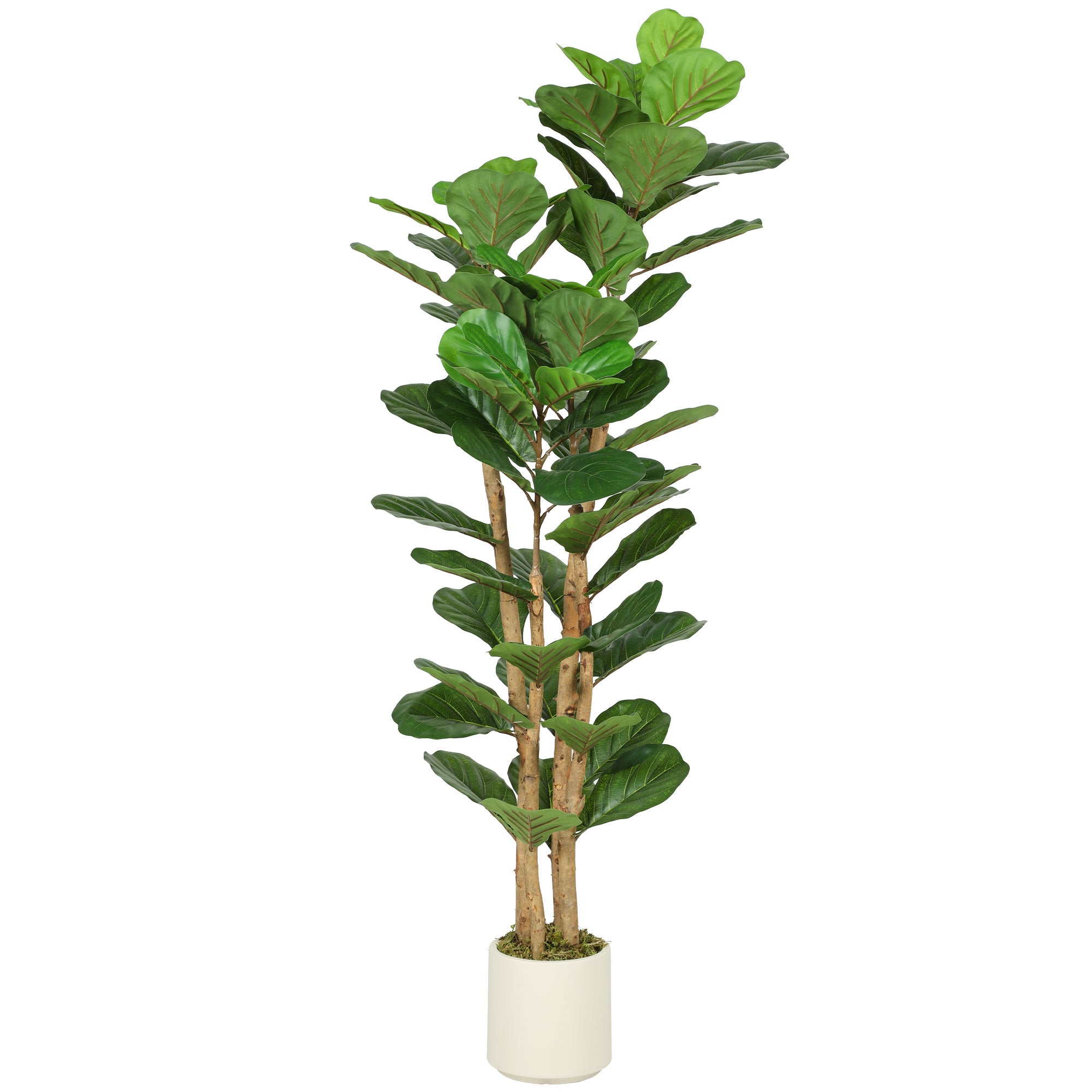 Kunstigt Figentræ Med Violinblade Kunstig Plante Med 71 Blade Massiv Træstamme Potte 50 50 150 Cm Grøn