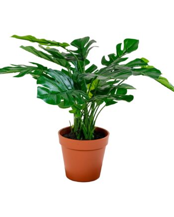 Monstera Kunstig Plante  Grøn  45 Cm