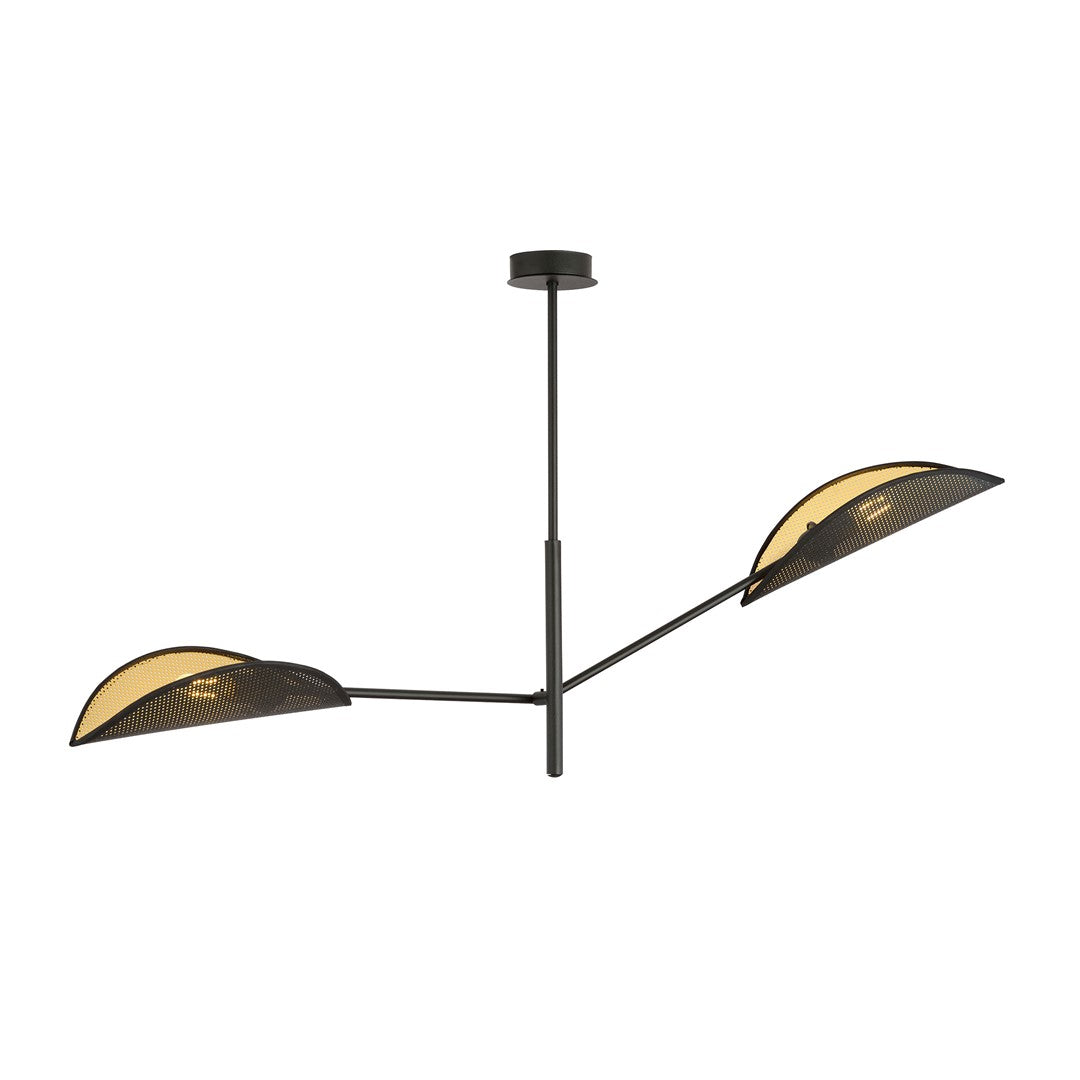 Vene   Black Gold