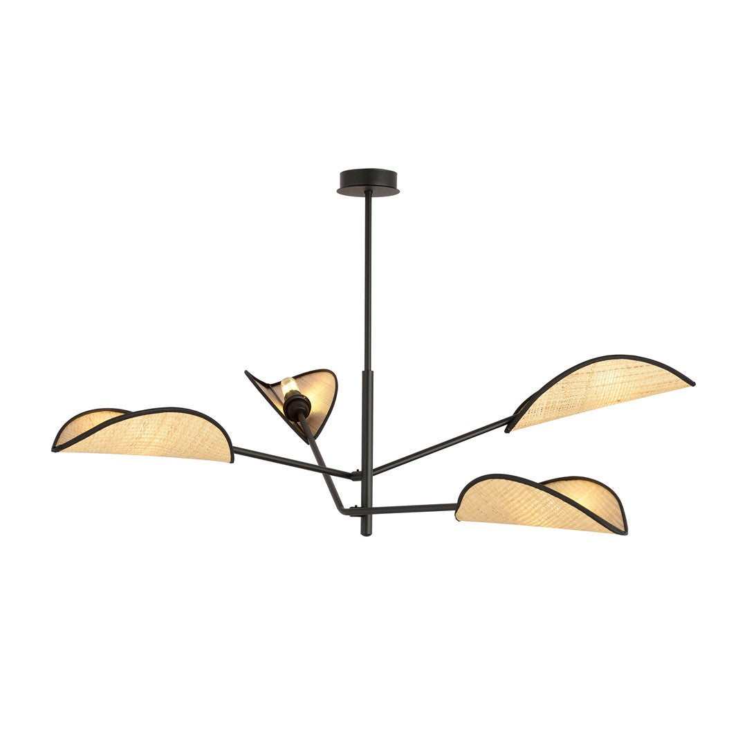 Vene   Black Rattan