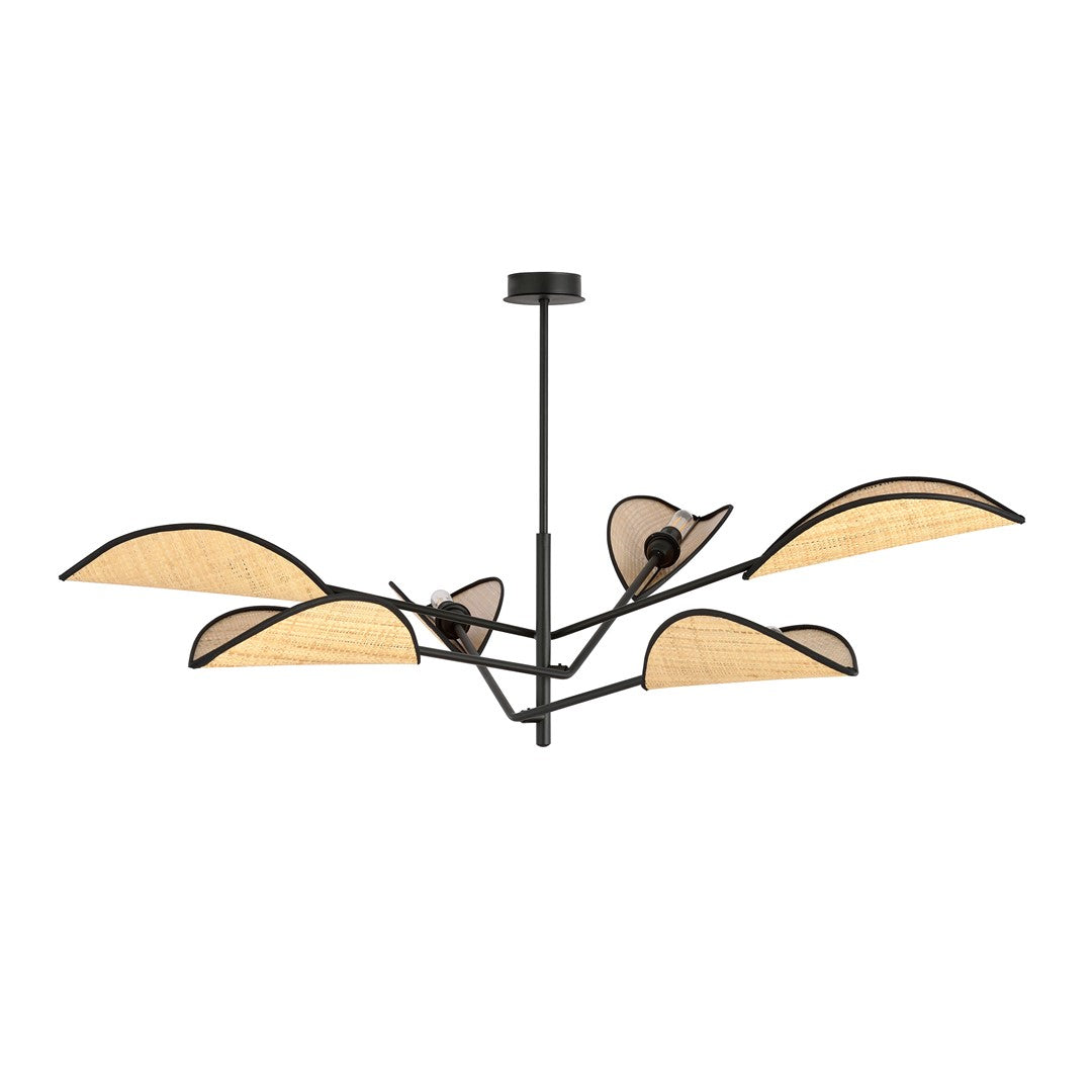 Vene   Black Rattan