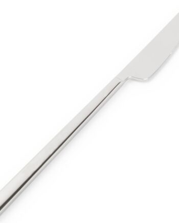 Dessertknive Sæt     Collection Terno   Stk 18 10 Rustfrit Stål 21 Cm Blank Sølv   Gaveæske