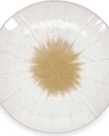 Desserttallerken     Collection Eclipse ø18 Cm  Stentøj  Beige  Reaktiv Glasur  Tåler Opvaskemaskine Og Mikrobølgeovn