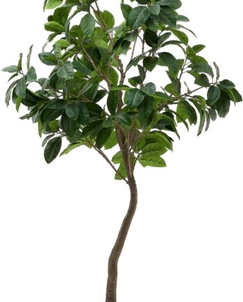 Kunstig Ficus Elastica Gummitræ Kave Home Ficus 210 Cm Grøn   Sort Potte
