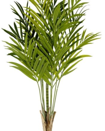 Kunstig Plante Kave Home Palmera 180 Cm Grøn
