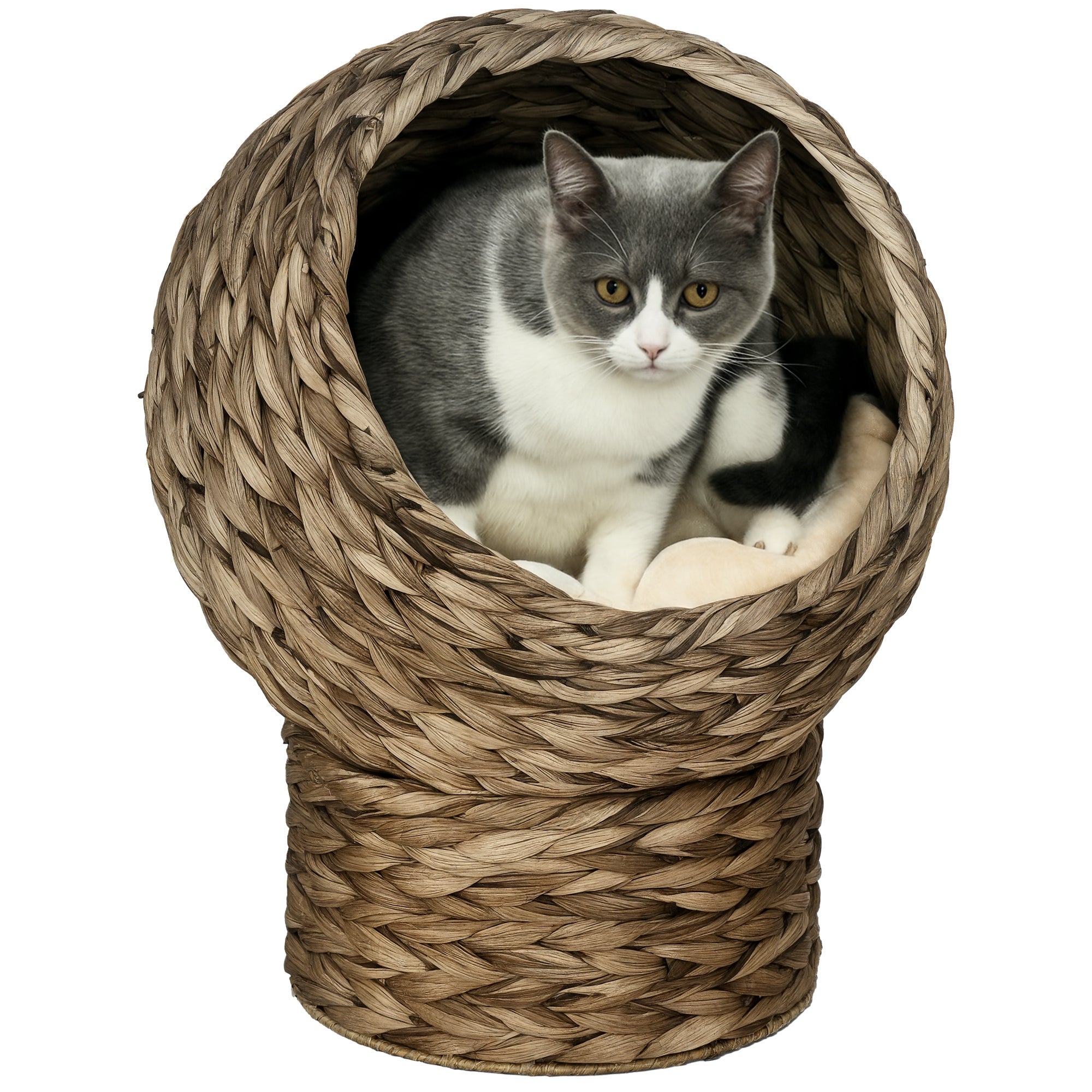 Rattan Kattekurv Kattehule Kattehus Katteseng Med Pude Kæledyrsseng Vandhyacint Kaffe 42   33   52 Cm